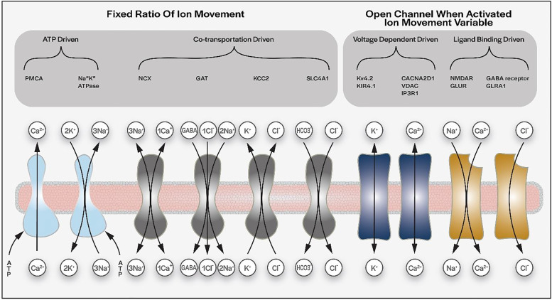 Figure 6.