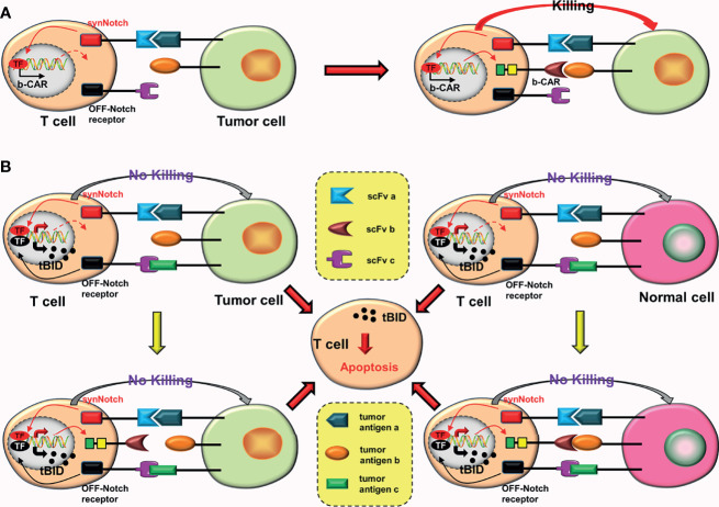 Figure 6