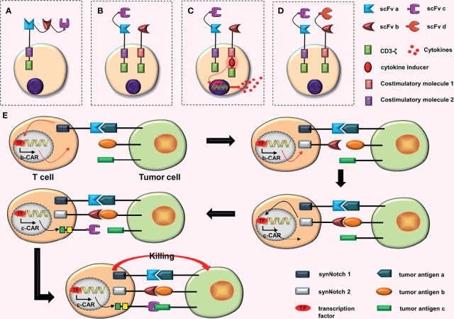 Figure 2