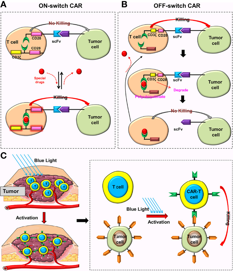 Figure 10