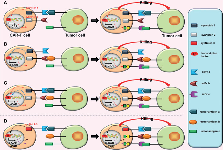 Figure 4