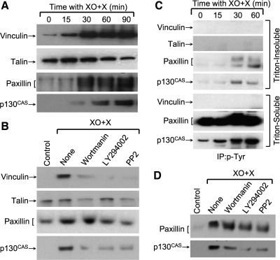 Fig. 10.