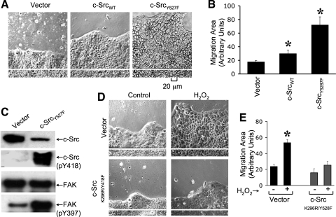 Fig. 9.