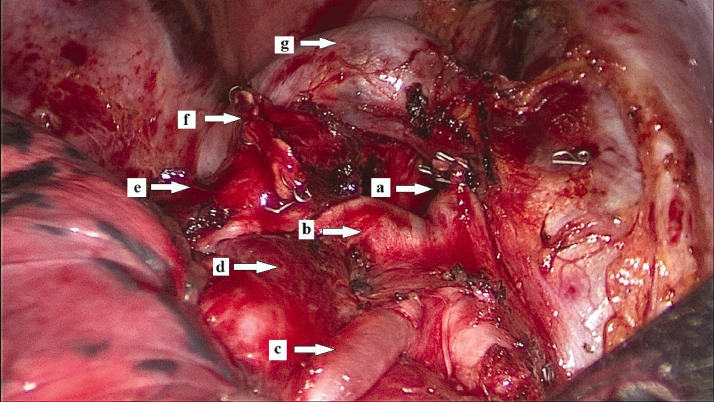 Figure 7.