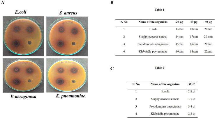 Fig. 5