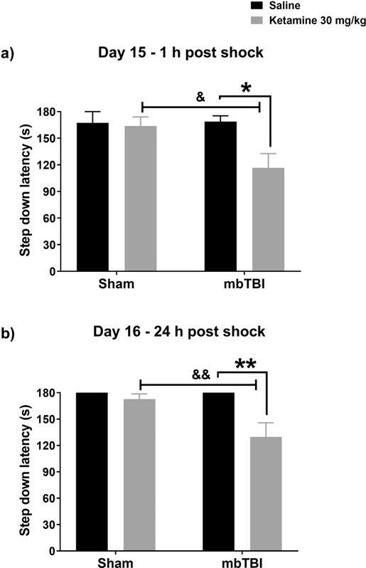 Figure 2 –