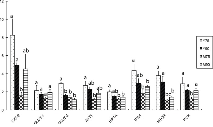 Figure 7