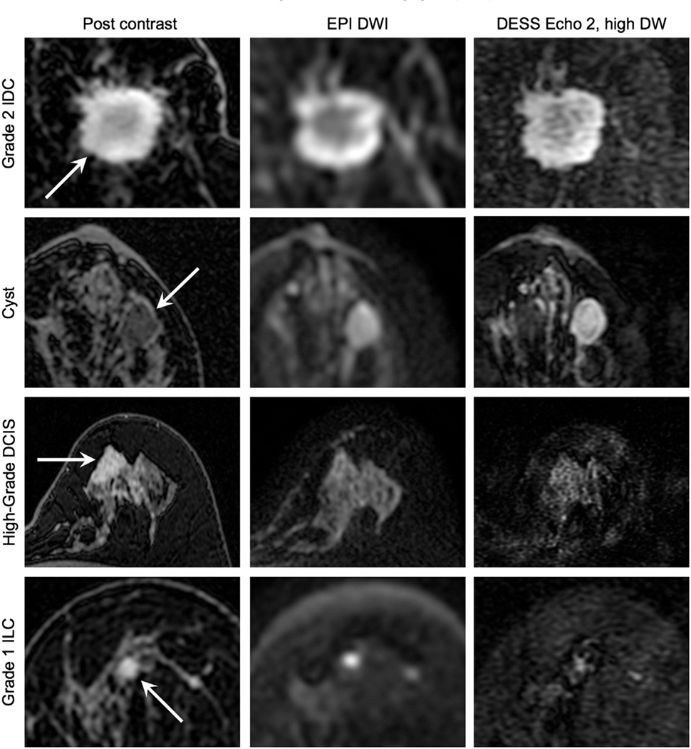 Fig. 9