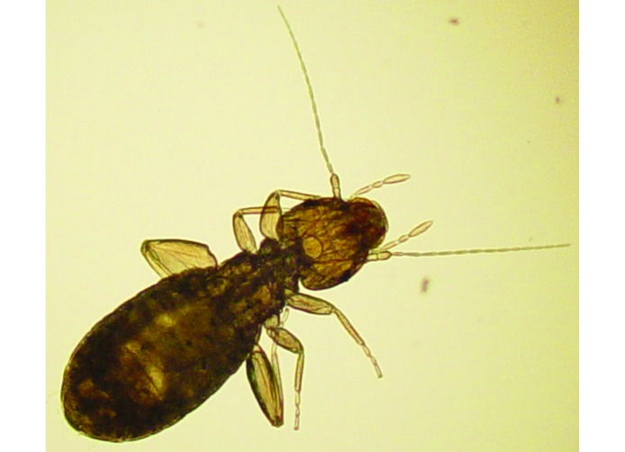 Figure 1.