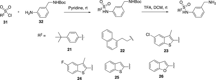 Scheme 2