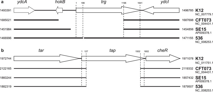 Fig 2