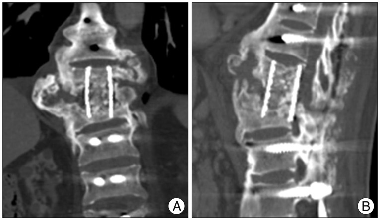 Fig. 7