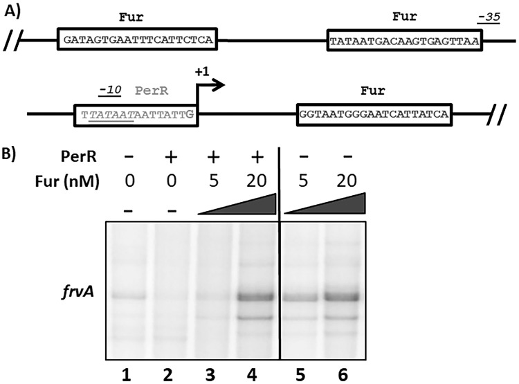 FIG 9