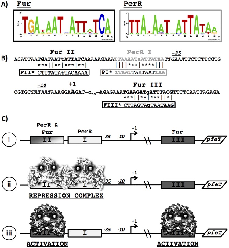 FIG 1