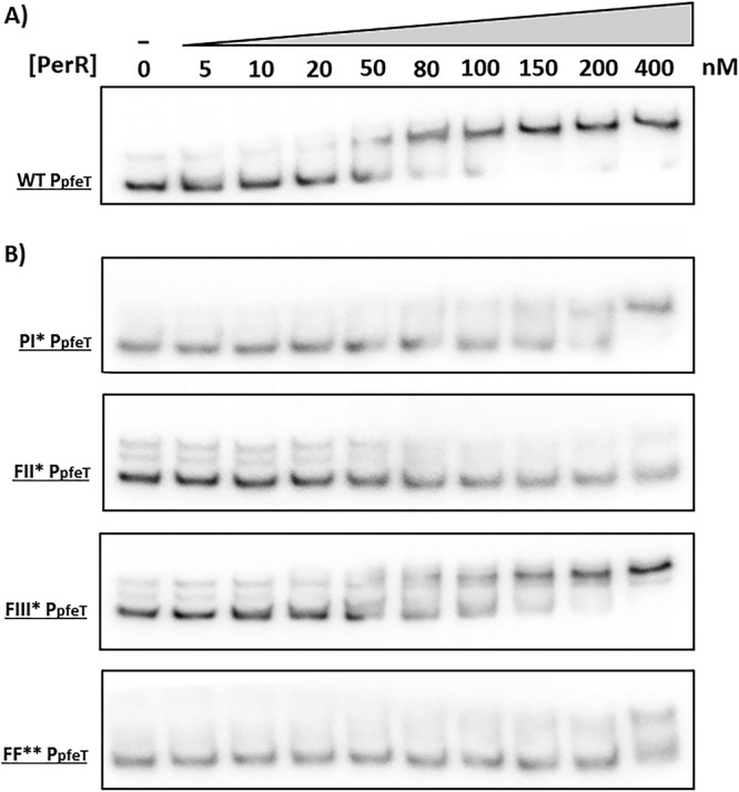 FIG 6