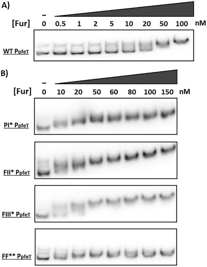 FIG 5