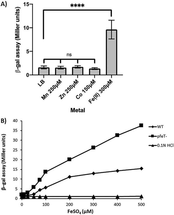 FIG 2