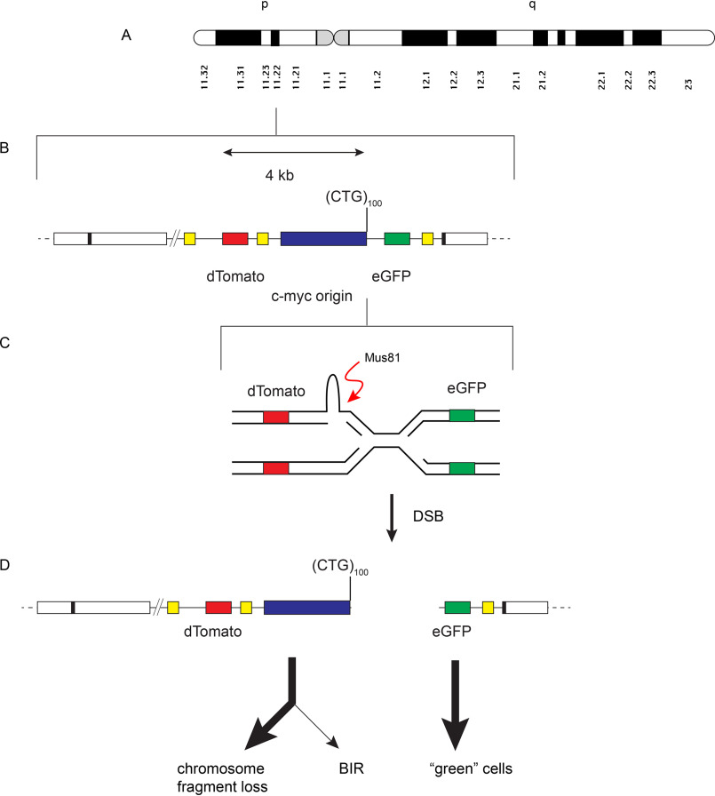 Figure 10.