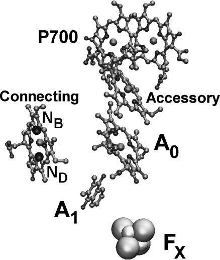 FIGURE 3