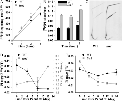 Figure 4.