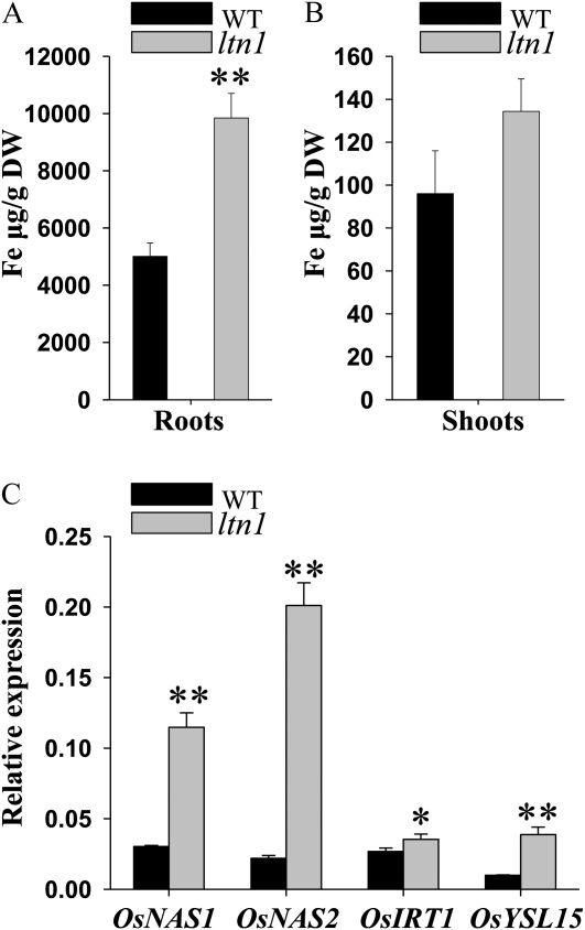 Figure 10.