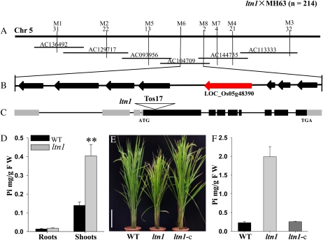 Figure 2.