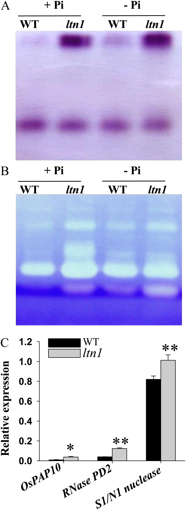 Figure 7.