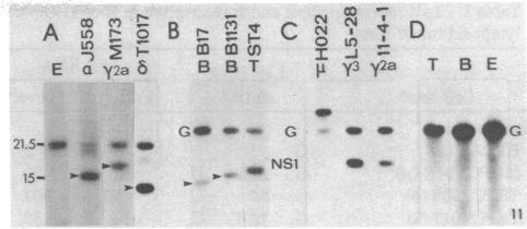 graphic file with name pnas00461-0237-a.jpg