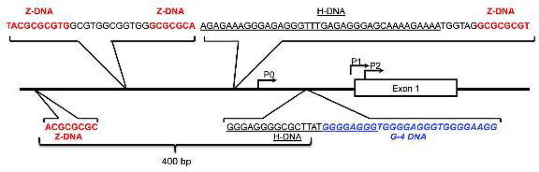 Figure 2