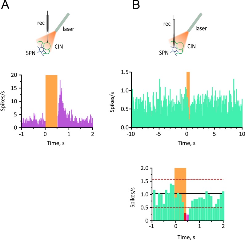 Figure 1—figure supplement 3.