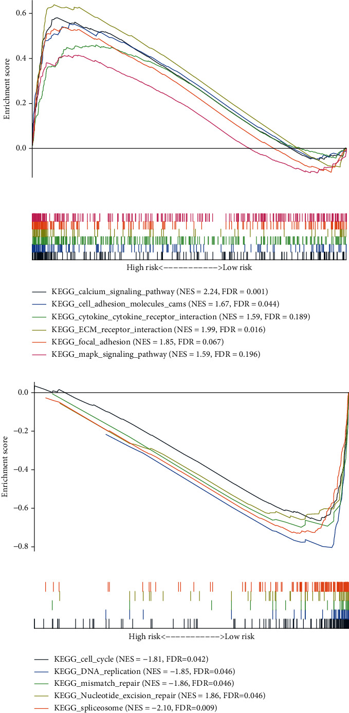 Figure 10