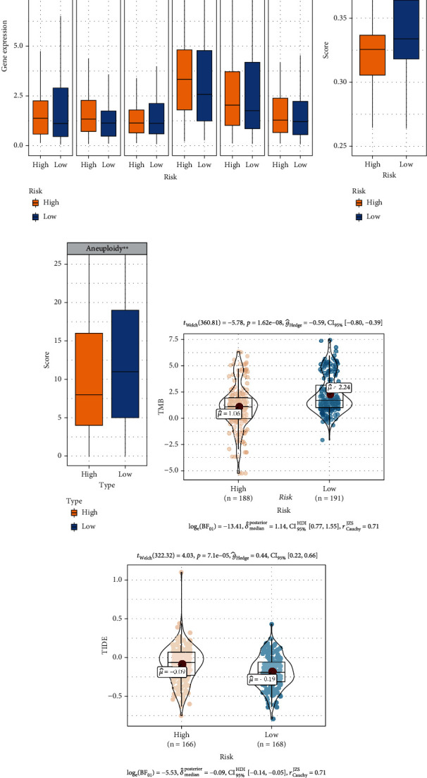 Figure 9