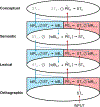 Figure 3 -