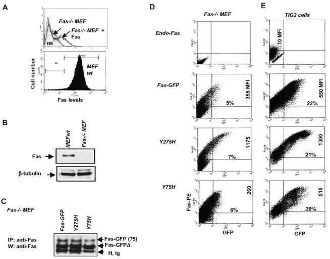 FIG. 9.