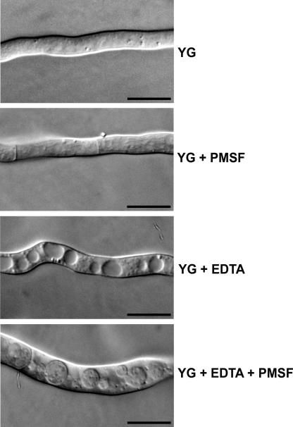 FIG. 6.