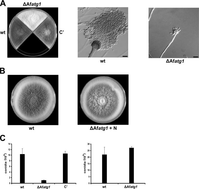 FIG. 3.