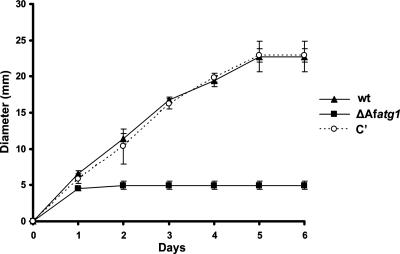 FIG. 4.