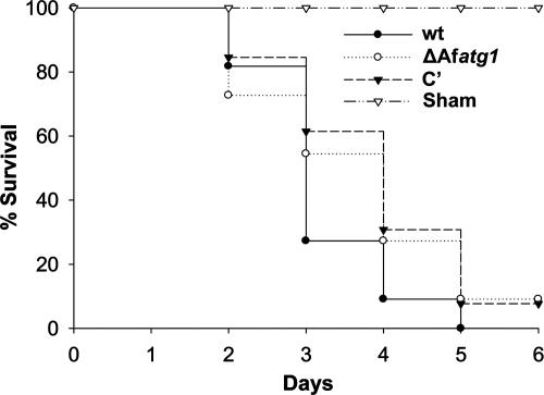 FIG. 8.