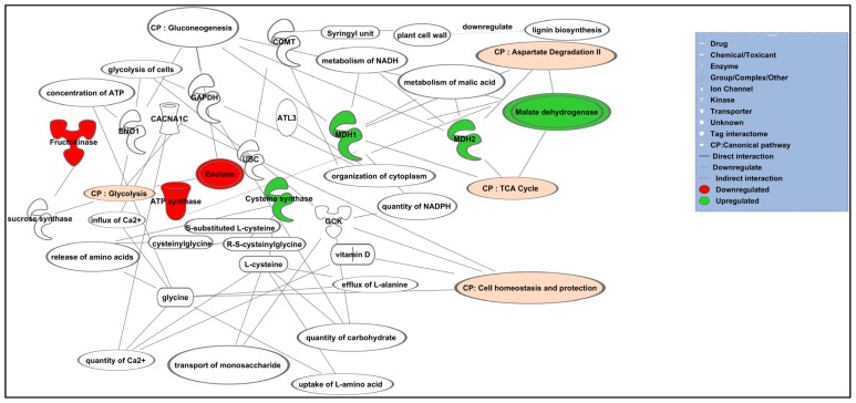 Figure 4.