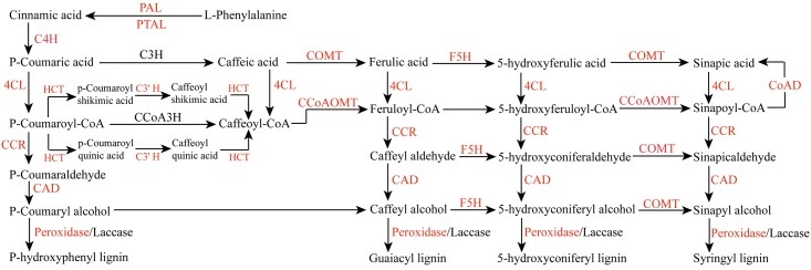 Fig 7