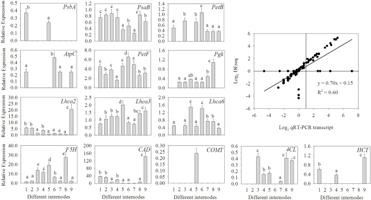 Fig 10