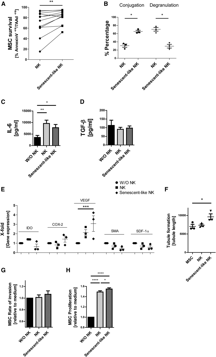 Figure 6