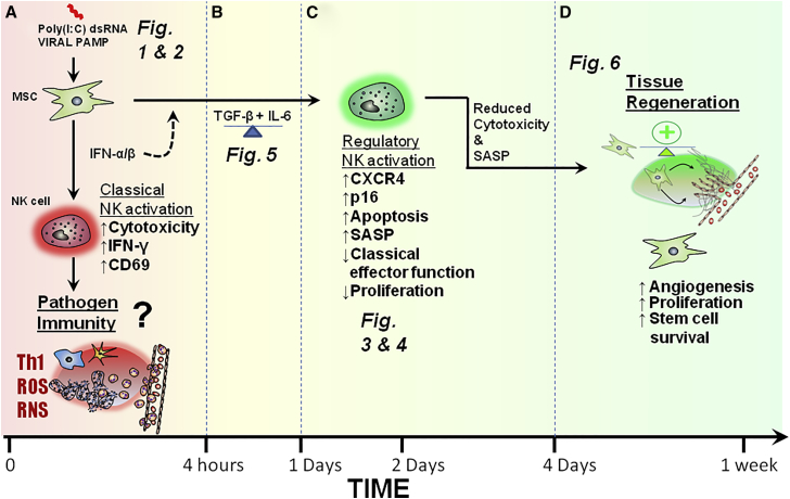 Figure 7