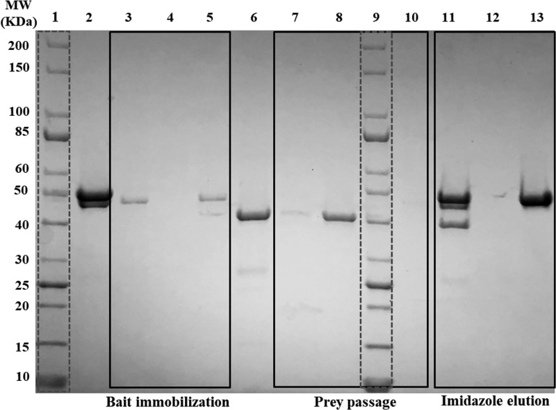 Figure 3.