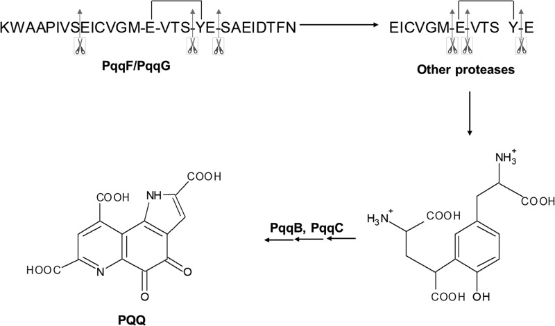 Figure 10.