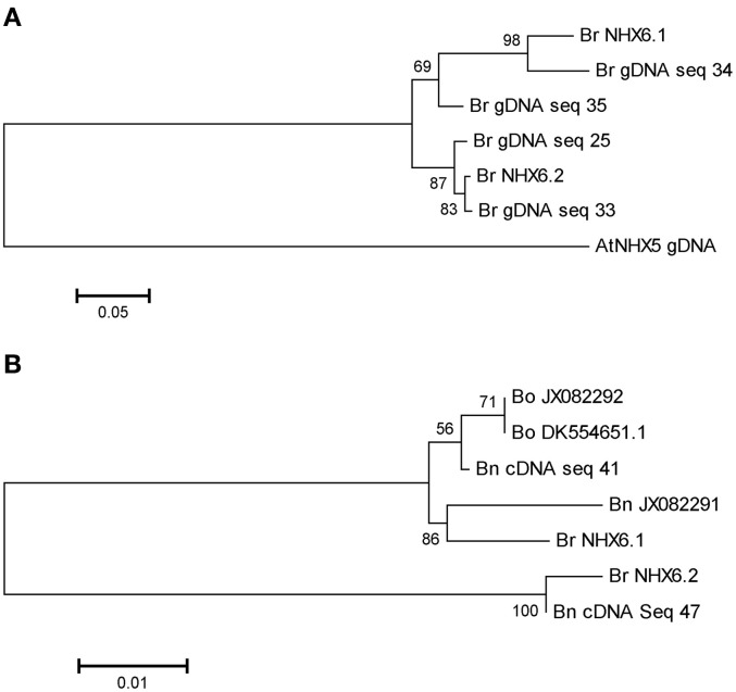 Figure 6