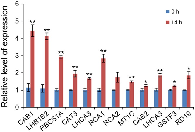 FIGURE 2