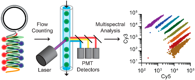 graphic file with name nihms-1592286-f0001.jpg