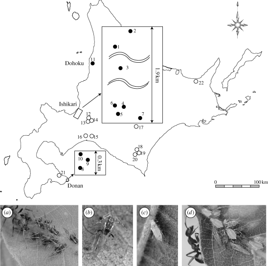 Figure 1.