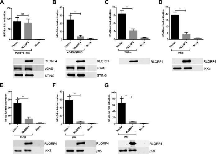 FIG 2